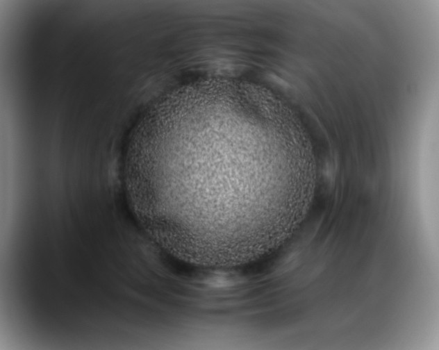 X0000088700663200706141431