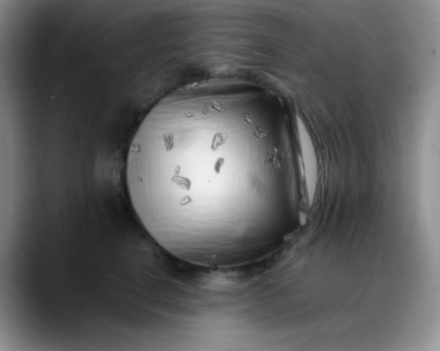 X0000088700664200706141431