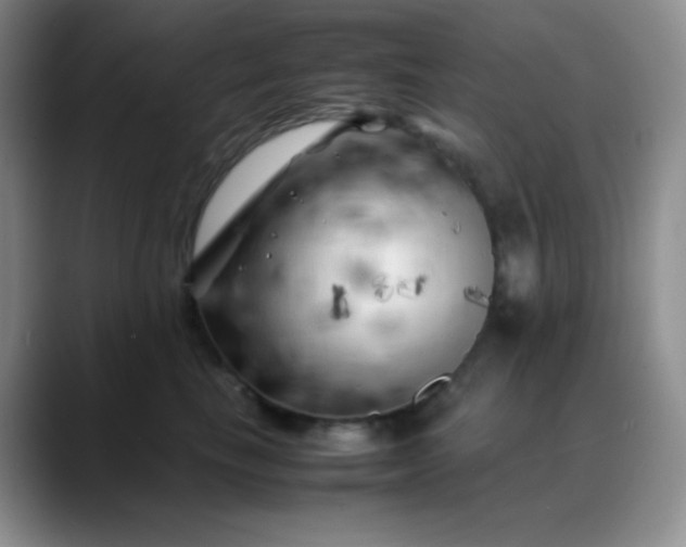 X0000088700665200706141431
