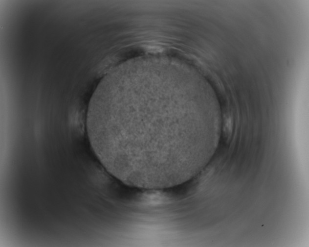 X0000088700666200706141431