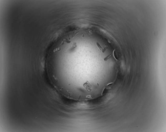 X0000088700668200706141431