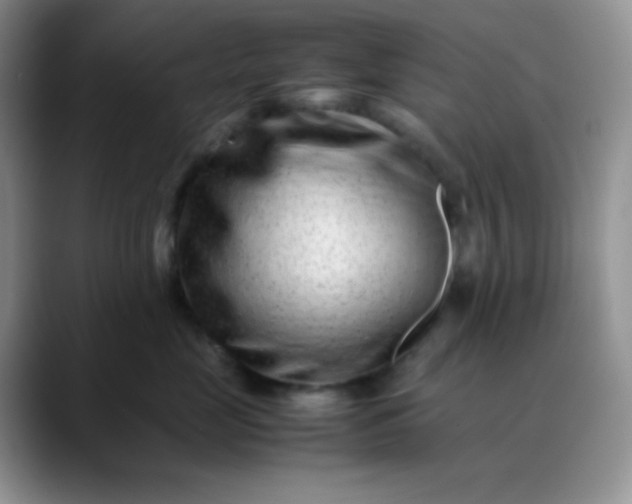 X0000088700669200706141431