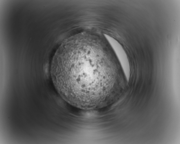 X0000088700670200706141431