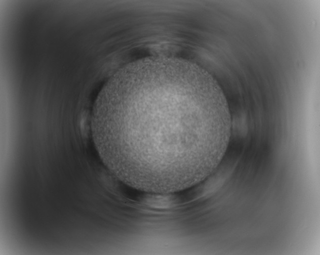 X0000088700671200706141431