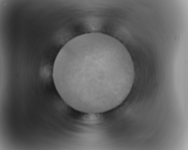X0000088700672200706141431