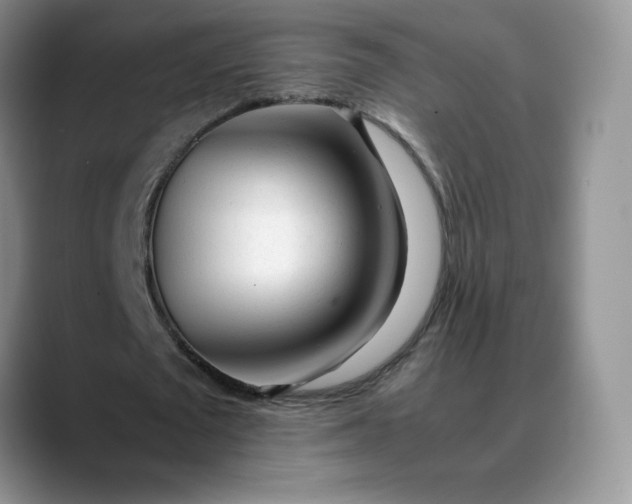 X0000088700673200706141431