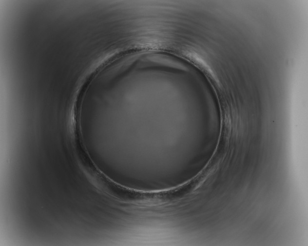 X0000088700674200706141431