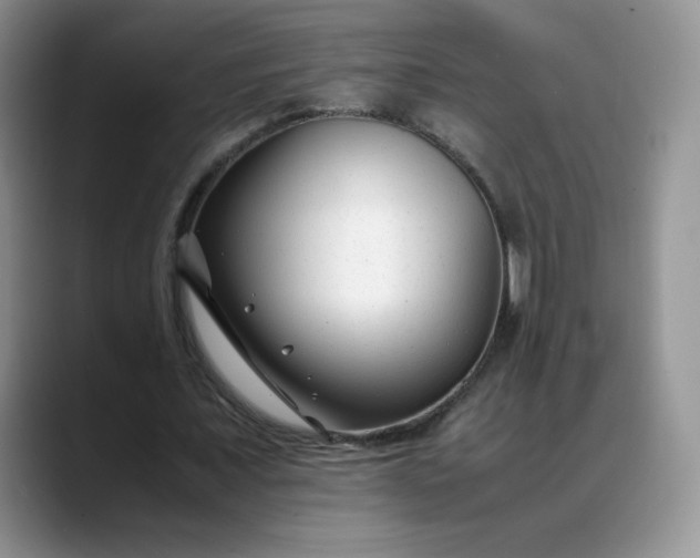 X0000088700675200706141430