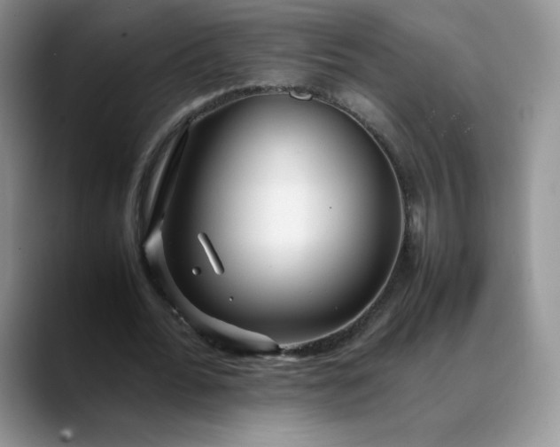 X0000088700676200706141430