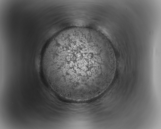 X0000088700679200706141430