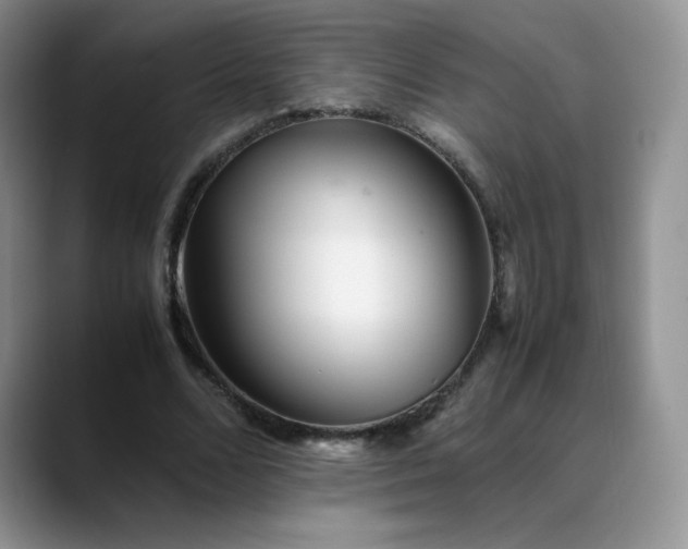 X0000088700680200706141430