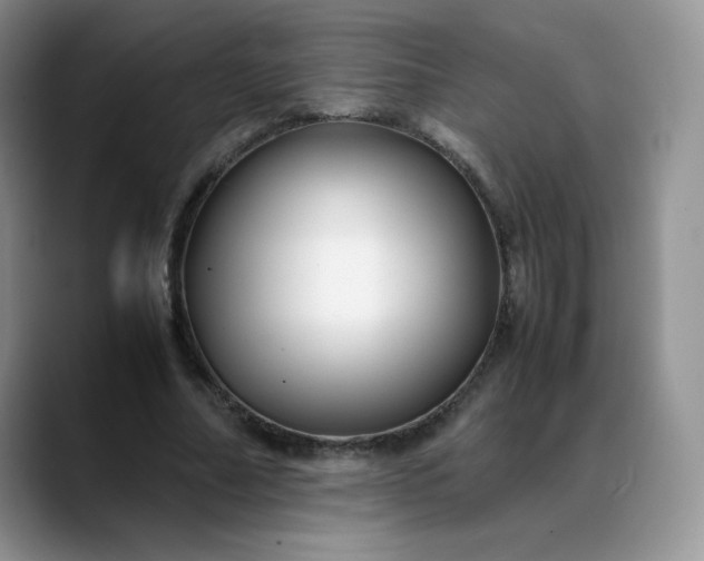 X0000088700682200706141430