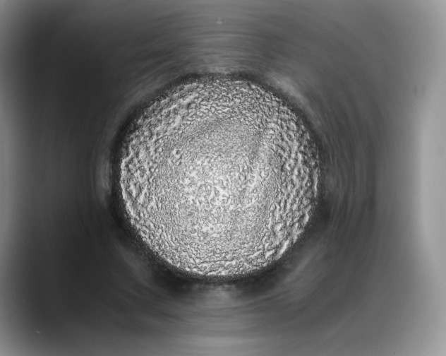 X0000088700683200706141430