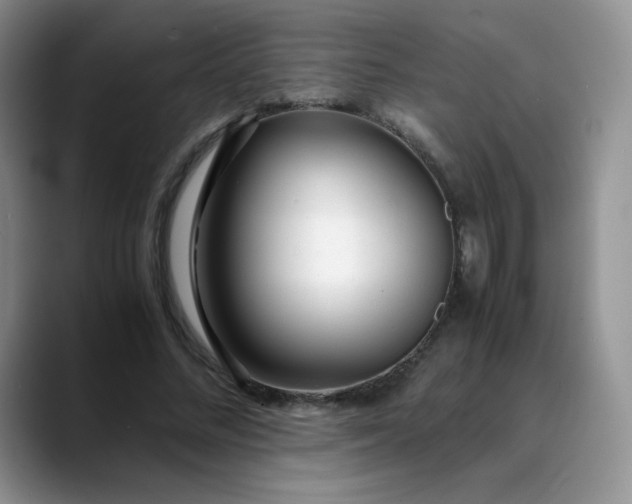 X0000088700684200706141430