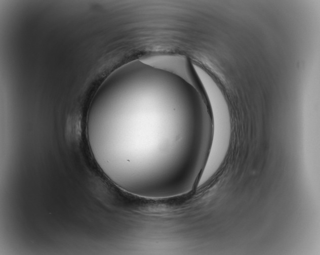 X0000088700685200706141430
