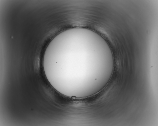 X0000088700686200706141430