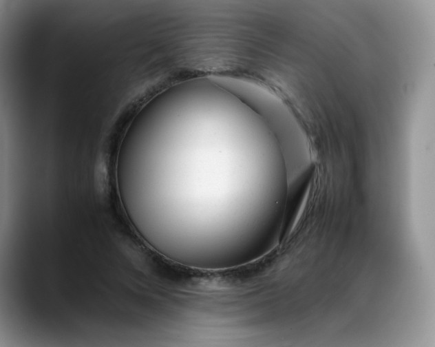 X0000088700688200706141430