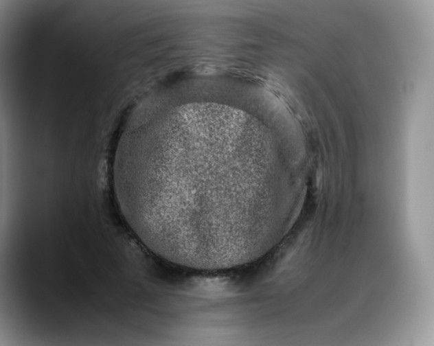 X0000088700689200706141430