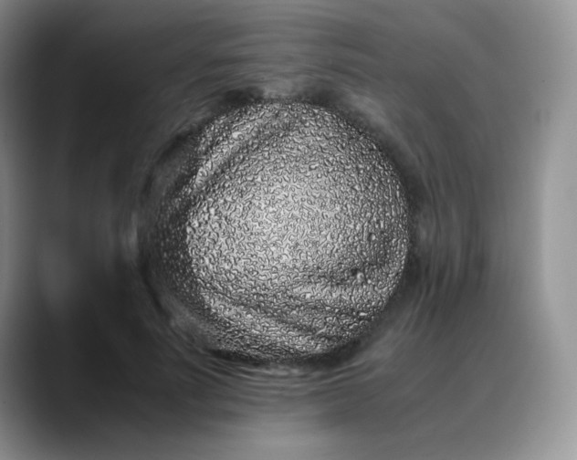X0000088700691200706141430