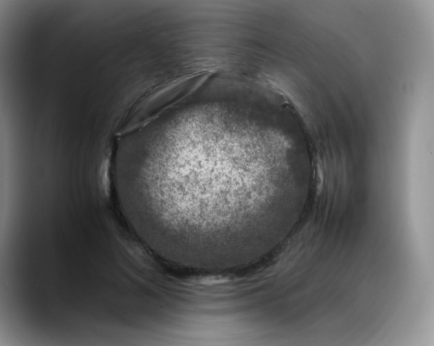 X0000088700692200706141430