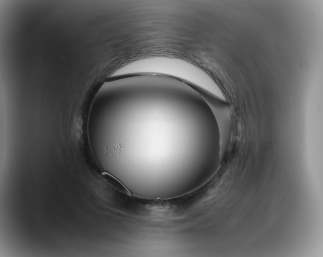 X0000088700693200706141430