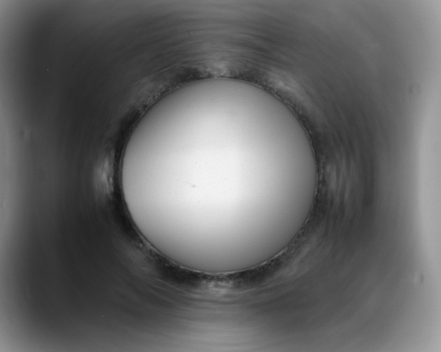 X0000088700694200706141430