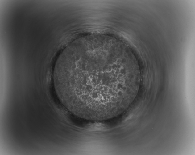 X0000088700695200706141430
