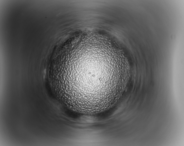X0000088700699200706141430