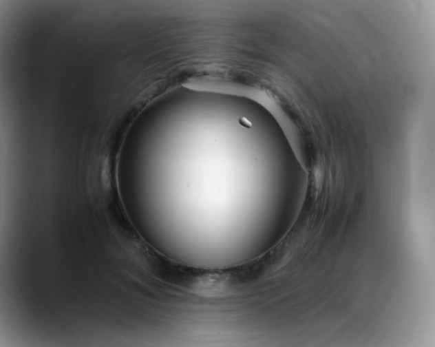 X0000088700700200706141430