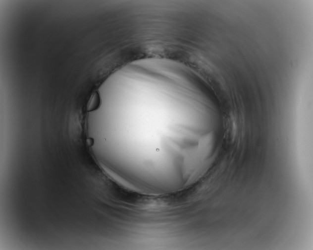X0000088700702200706141430