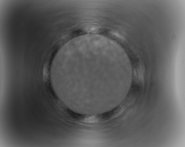 X0000088700705200706141430
