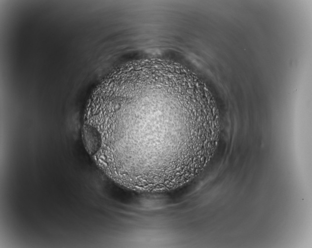 X0000088700707200706141430