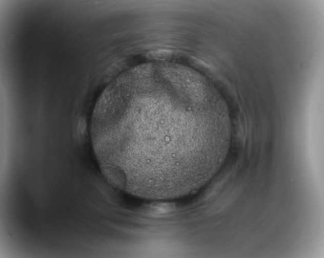 X0000088700711200706141430