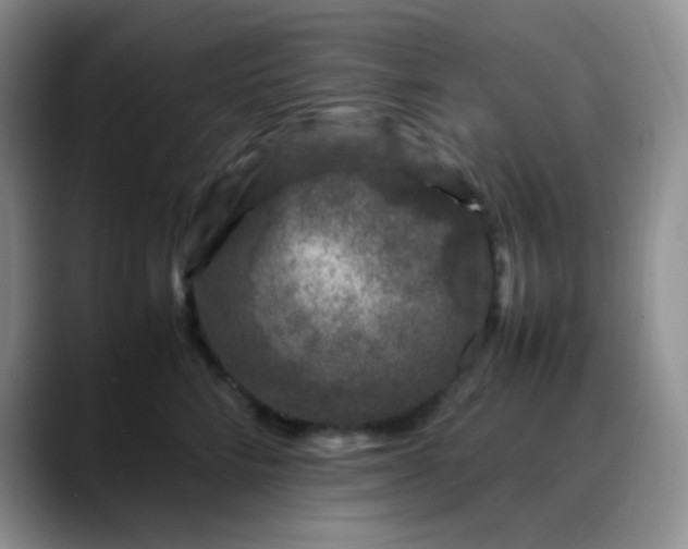 X0000088700712200706141430
