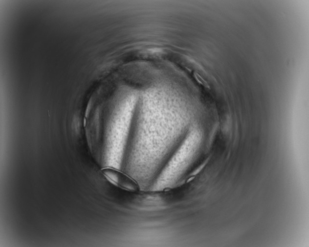 X0000088700715200706141430