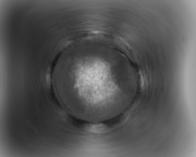 X0000088700716200706141430