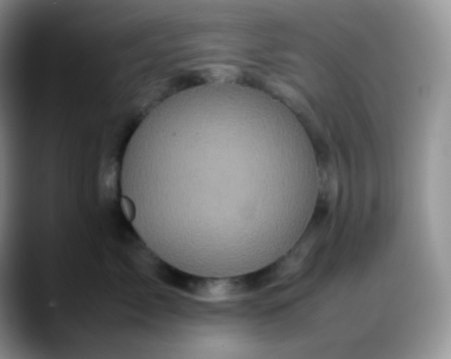 X0000088700717200706141430