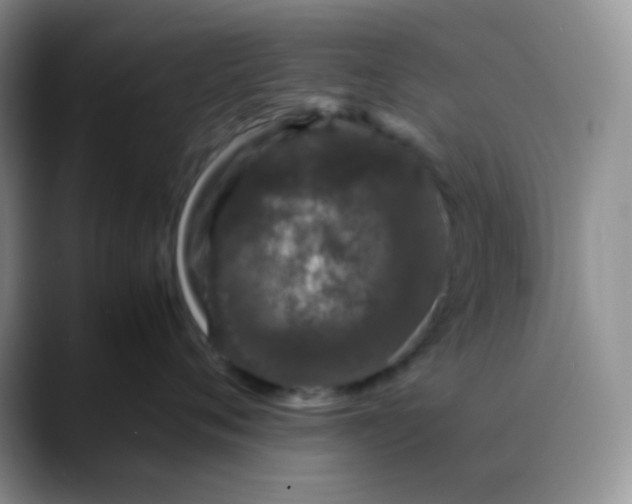 X0000088700720200706141430