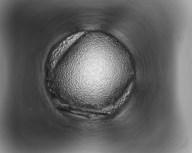 X0000088700721200706141429