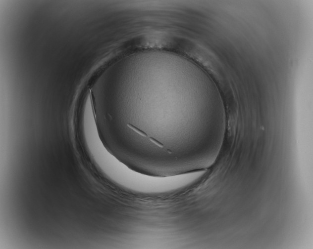 X0000088700722200706141429