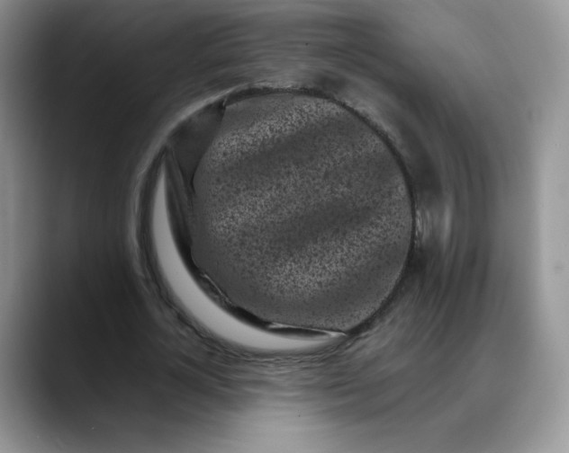 X0000088700724200706141429