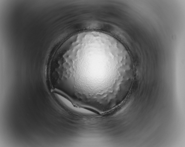 X0000088700725200706141429