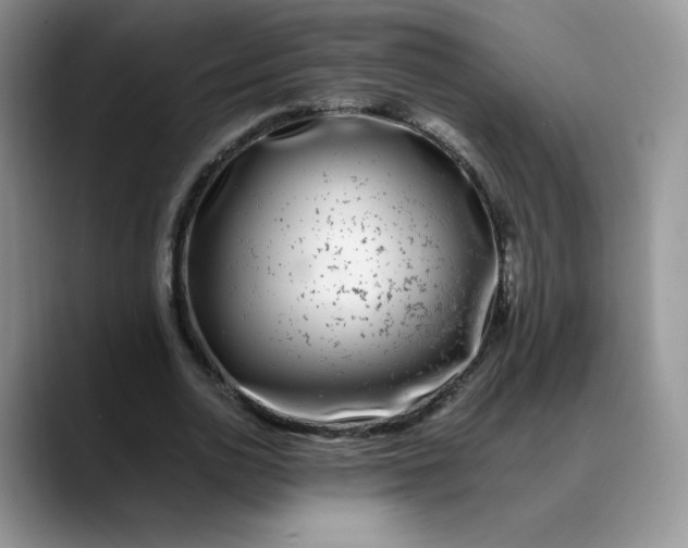 X0000088700726200706141429