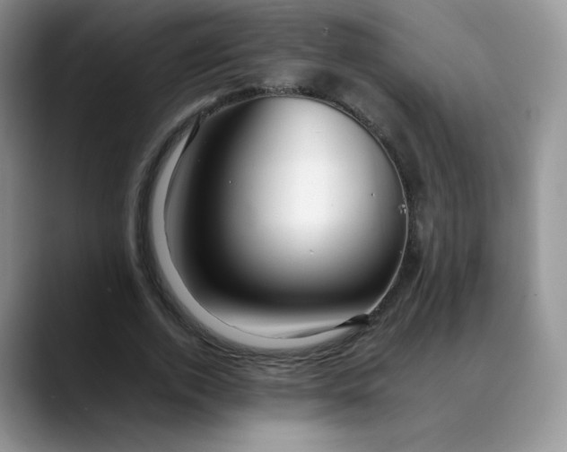X0000088700728200706141429