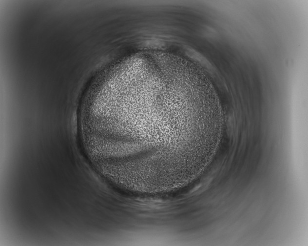 X0000088700729200706141430