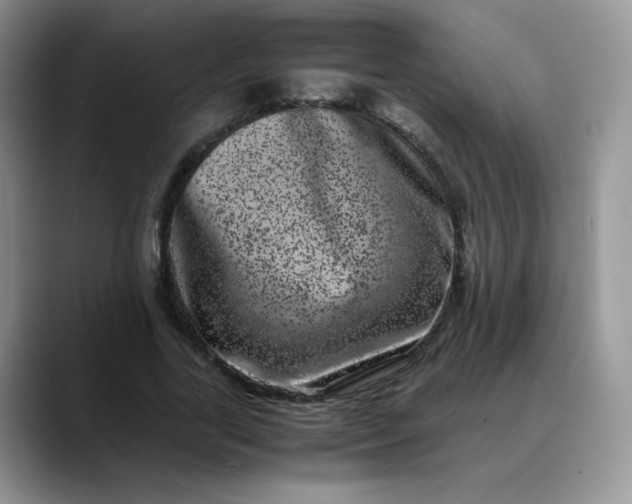 X0000088700731200706141430