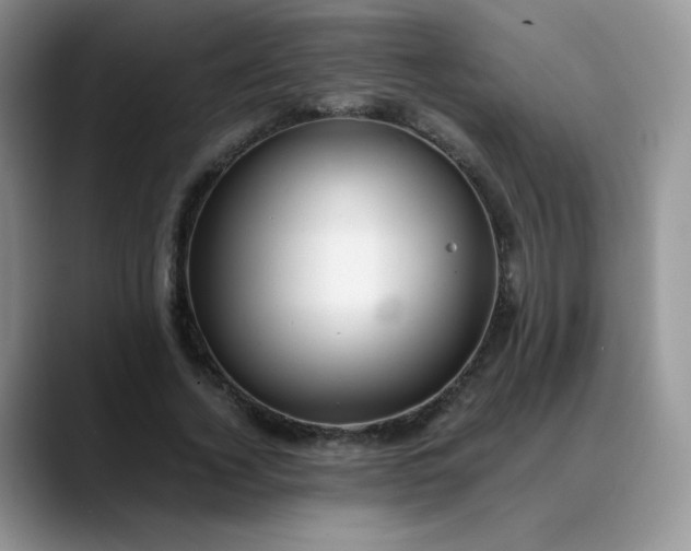 X0000088700732200706141430