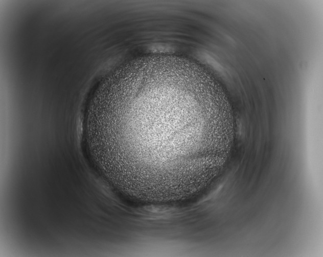 X0000088700733200706141430