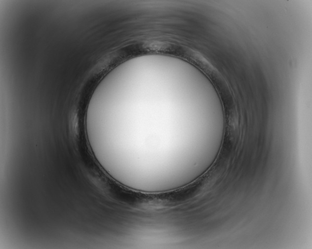 X0000088700734200706141430