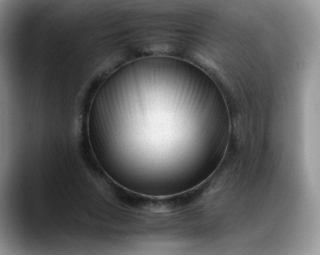 X0000088700735200706141430